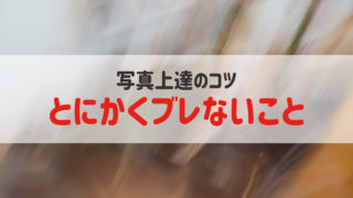 図解 東京ディズニーシーのタワー オブ テラーのエレベーターは2階建構造なのか へちまノート