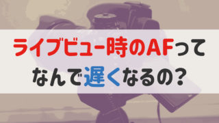 年最新版 ディズニー向けおすすめの一眼レフカメラとミラーレスカメラ へちまノート