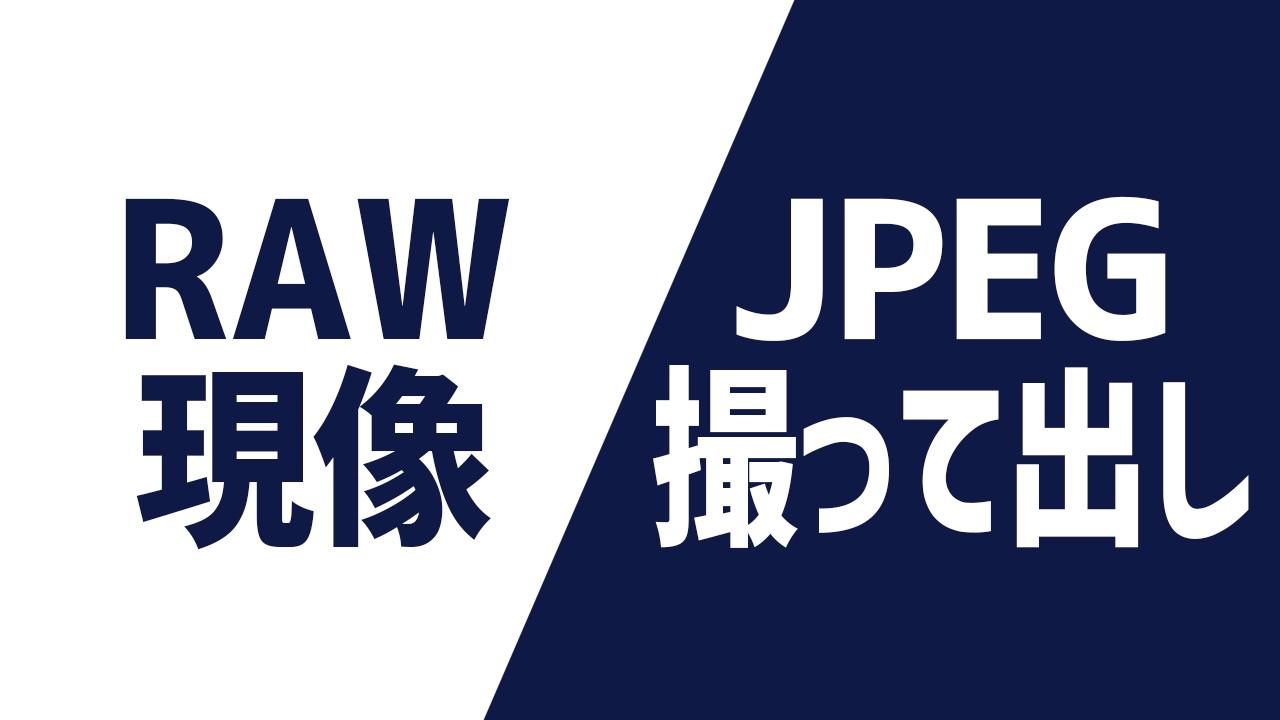 Rawとjpeg撮って出しをわかりやすく解説 Rawだから画質がキレイ は間違い へちまノート