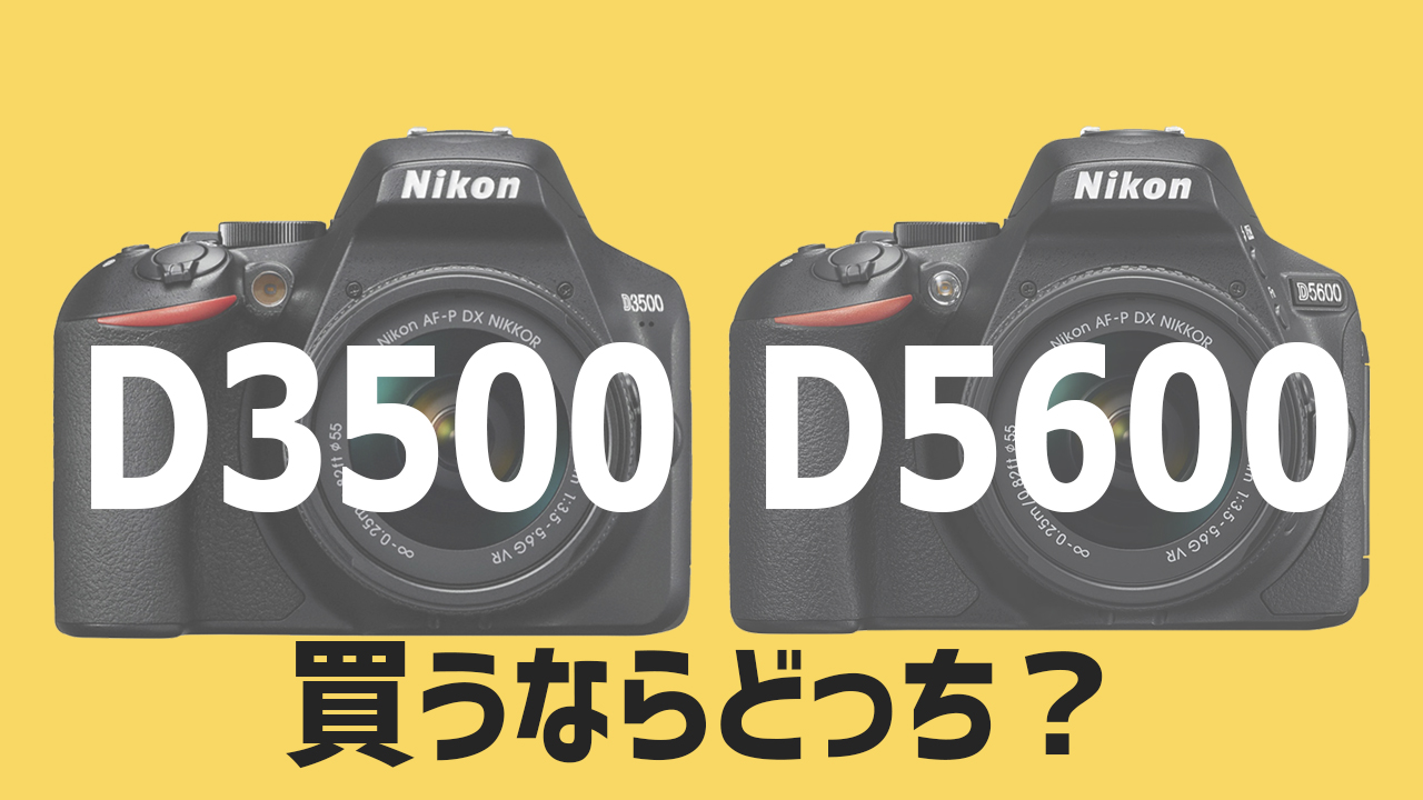 ニコンD3500を買うならD5600をオススメしたい5つのポイント【比較