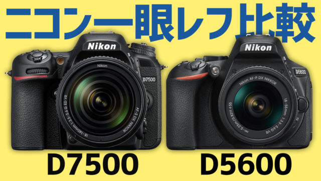 ニコンD7500とD5600の比較